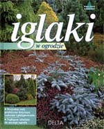 Iglaki w ogrodzie