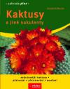 Kaktusy a jiné sukulenty