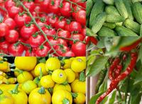 Letní plody v malém vydání (PIXABAY)