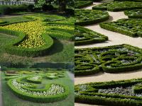 Stříhané dřeviny - ornamenty