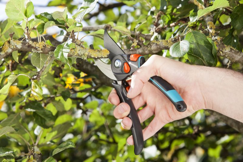 Podzimní řez: Zahradní nůžky BM XL (GARDENA) Podzimní řez: Zahradní nůžky BM XL (GARDENA)