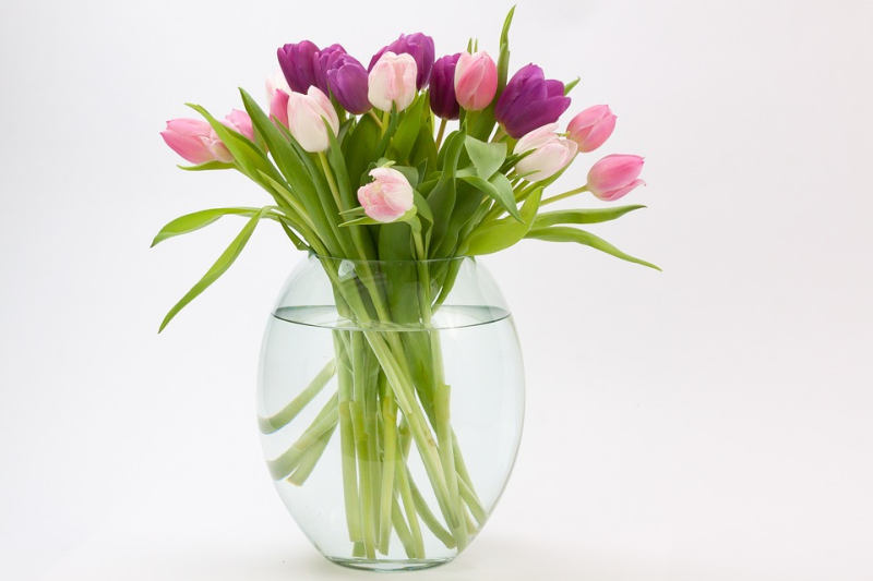 Tulipány ve váze (PIXABAY)