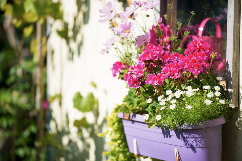 Balkonovky o dovolené (GARDENA) Balkonovky o dovolené (GARDENA)