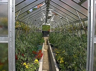 Police ve skleníku - skleníky (LIMES)