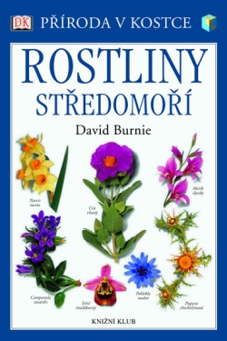 Rostliny Středomoří - Příroda v kostce Rostliny Středomoří - Příroda v kostce