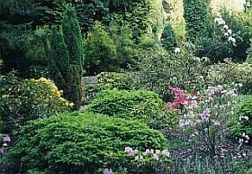 Botanická zahrada v Olomouci