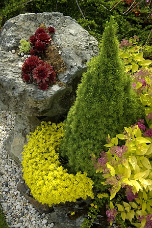 Skalky (DŮM A ZAHRADA) Skalky (DŮM A ZAHRADA)