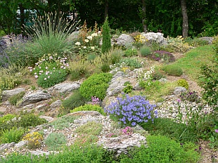 Skalky (DŮM A ZAHRADA) Skalky (DŮM A ZAHRADA)