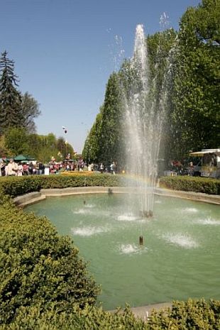 Jarní Flora Olomouc 2009 Jarní Flora Olomouc 2009