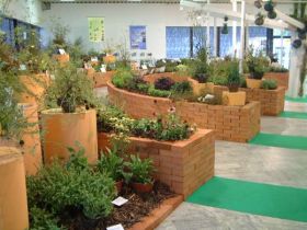 Flora Olomouc 2005 Flora Olomouc 2005