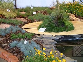 Flora Olomouc 2005 Flora Olomouc 2005