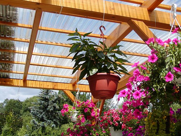 Stavební materiály: dřevo na pergola