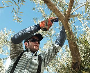 Global Garden Report 2010 (HUSQVARNA)