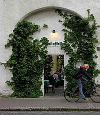Begrünung mit Kletterhortensie am Eingang zu einem Freisitz, Taucha bei Leipzig / Sachsen