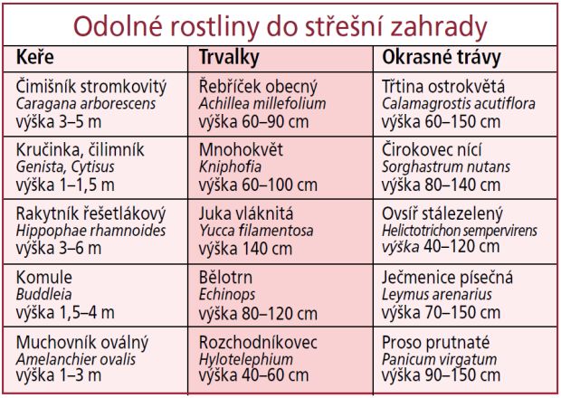 Střešní zahrady: odolné rostliny do střešní zahrady