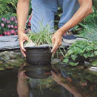 Jezírka - jeden koš osazujte vždy jen jedním druhem zeleně (GARDENA)