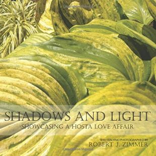 Shadows and Light: Showcasing a Hosta Love Affair Shadows and Light: Showcasing a Hosta Love Affair
