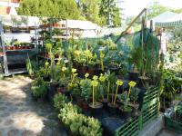 Výstava Hobby Č.Budějovice 13.5.2011