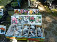 Výstava Hobby Č.Budějovice 13.5.2011