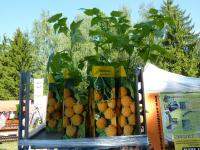 Výstava Hobby Č.Budějovice 13.5.2011