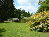 průhonický park a zámek