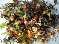 Růže svraskalá 3, hromada květních kalichů (Rosa rugosa)