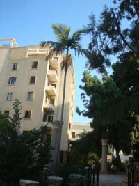 Palma (Archontophoenix alexandrae)