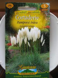 Pampas dvoudomý - sáček (Cortaderia selloana)