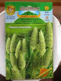Chrastice kanárská (Phalaris canariensis)