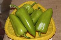 Paprika setá 'Raduza'