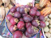 Garcinie mangostan (Garcinia mangostana)