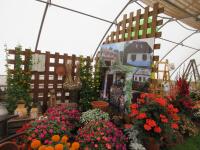 Expozice žijeme s květinami - chaty a chalupy