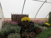 Expozice žijeme s květinami - chaty a chalupy