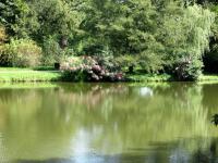 Lednice park-jezírko