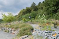 Arboretum Paseka Makču Pikču