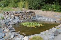 Arboretum Paseka Makču Pikču