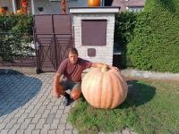 Tykev obrovská 'Atlantic Giant'